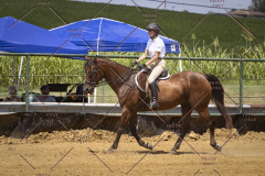 PCSCShow81625_0696