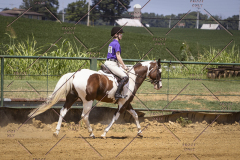 PCSCShow81625_0736
