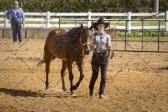 PCSCShow81625_9654