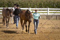 PCSCShow81625_9664