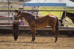 PCSCShow81625_9701