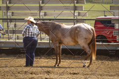 PCSCShow81625_9703