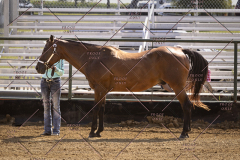 PCSCShow81625_9704