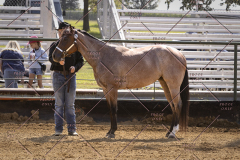 PCSCShow81625_9706