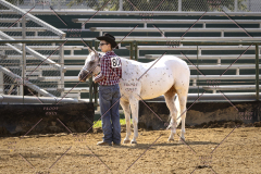 PCSCShow81625_9711