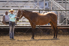 PCSCShow81625_9712