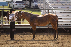 PCSCShow81625_9713