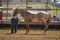 PCSCShow81625_9714
