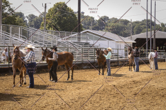 PCSCShow81625_9727