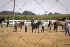 PCSCShow81625_9736
