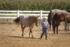 PCSCShow81625_9753