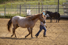 PCSCShow81625_9766