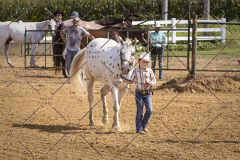 PCSCShow81625_9773