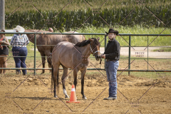 PCSCShow81625_9822