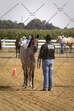 PCSCShow81625_9835