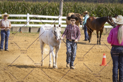 PCSCShow81625_9852