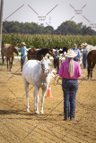 PCSCShow81625_9855