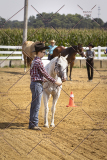 PCSCShow81625_9859