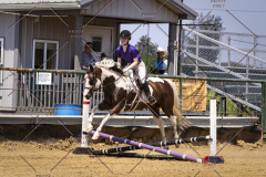 PCSCShow81625_0872