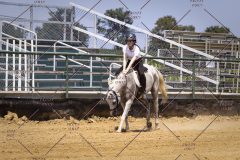 PCSCShow81625_0891