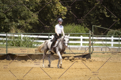 PCSCShow81625_0960