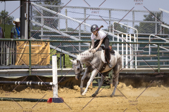 PCSCShow81625_0977