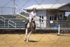 PCSCShow81625_0983