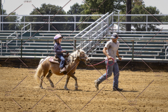 PCSCShow81625_1106