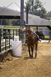 PCSCShow81625_1172