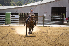 PCSCShow81625_1190
