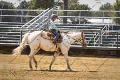 PCSCShow81625_1285