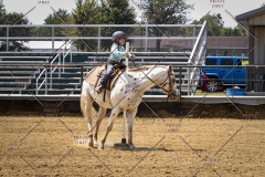 PCSCShow81625_1326