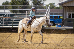 PCSCShow81625_1342