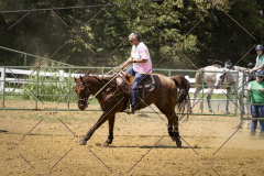 PCSCShow81625_1563