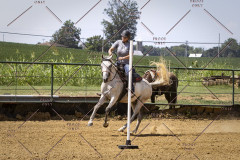 PCSCShow81625_1728