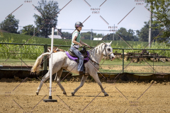PCSCShow81625_1759