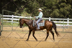 PCSCShow81625_0481