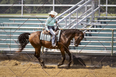 PCSCShow81625_0514