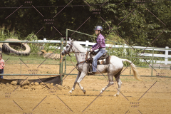 PCSCShow81625_0567