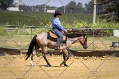 PCSCShow81625_0295