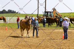 PCSCShow062125_5269