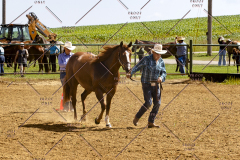 PCSCShow062125_5270