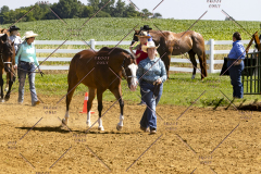 PCSCShow062125_5290
