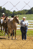 PCSCShow062125_5309