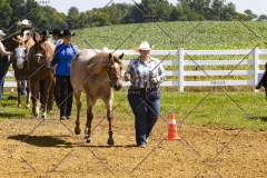 PCSCShow062125_5311