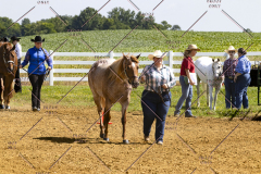 PCSCShow062125_5313