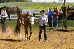 PCSCShow062125_5336