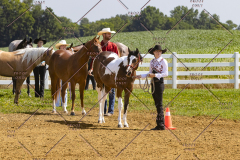 PCSCShow062125_5345