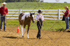 PCSCShow062125_5347