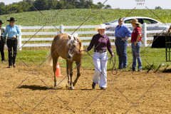 PCSCShow062125_5369